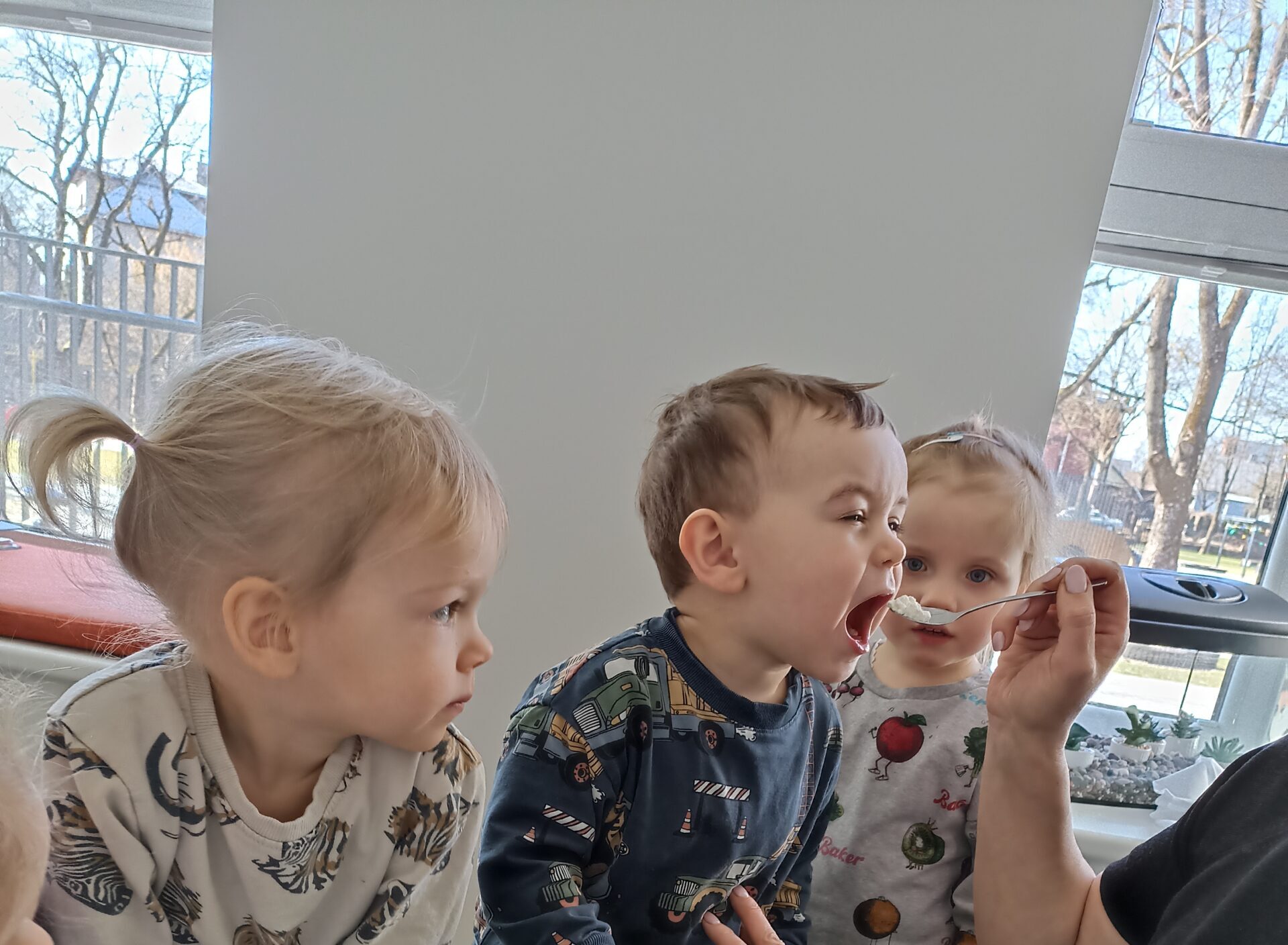 Iš kur atsiranda sūris?