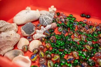 Projektas „Susipažinkime! Aš – Kastukas“