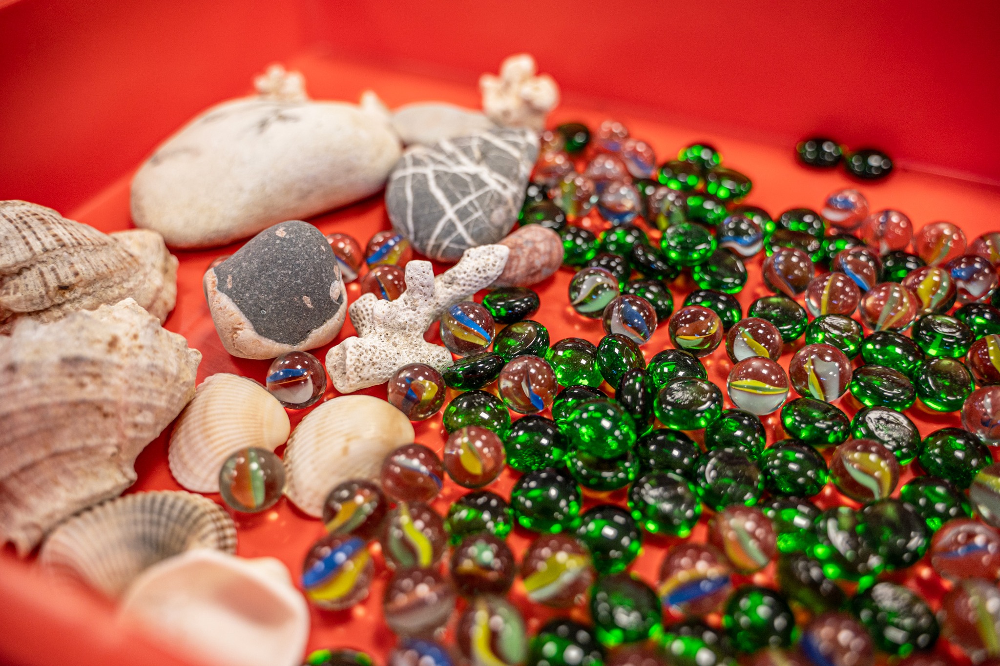 Projektas „Susipažinkime! Aš – Kastukas“