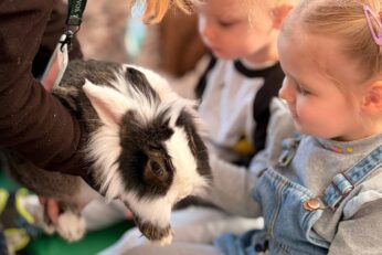 Pažintis su graužikais – smalsūs atradimai ir naujos patirtys!