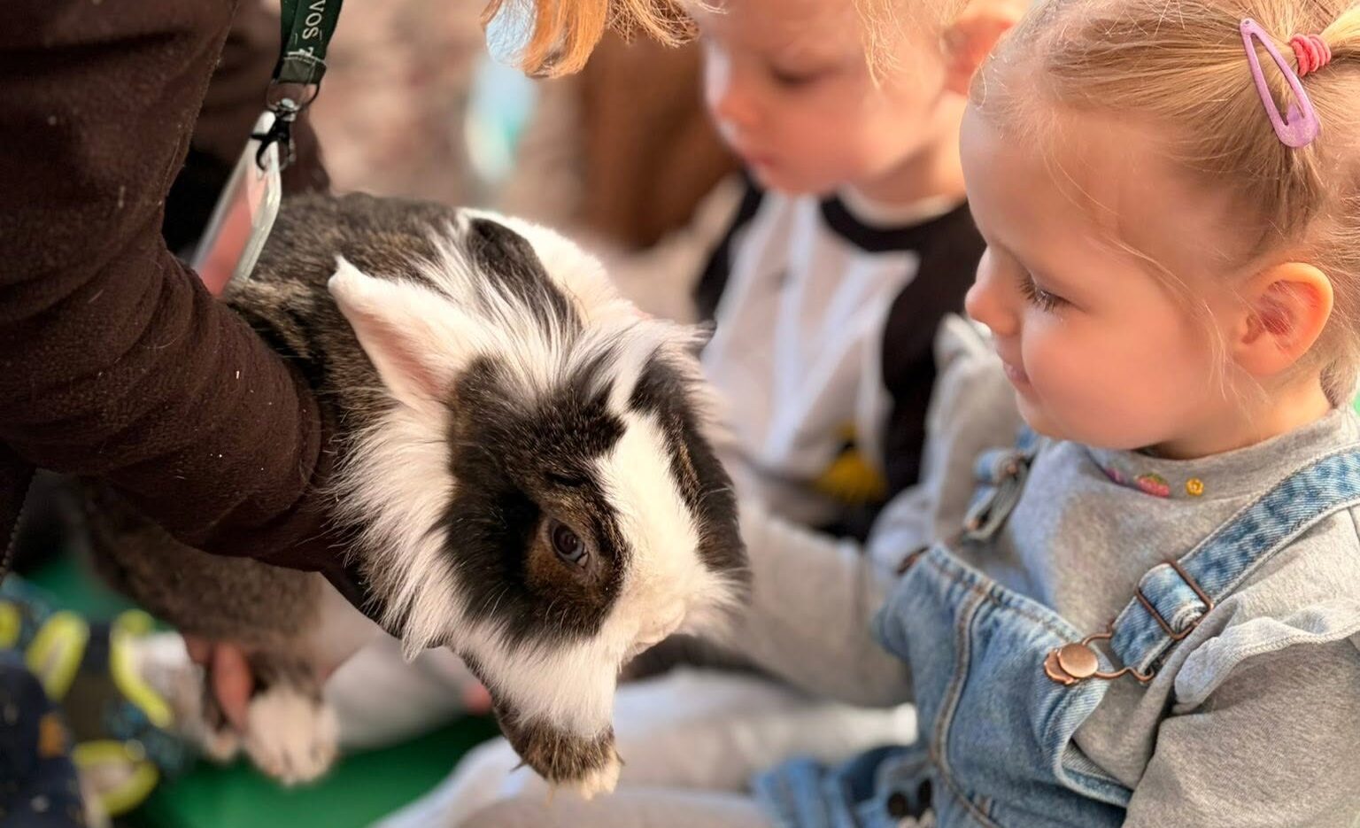 Pažintis su graužikais – smalsūs atradimai ir naujos patirtys!